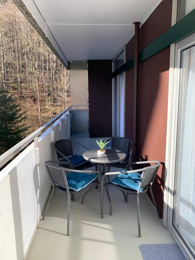 Mariposa 3 Incl Pool & Sauna Bad Harzburg Exterior photo
